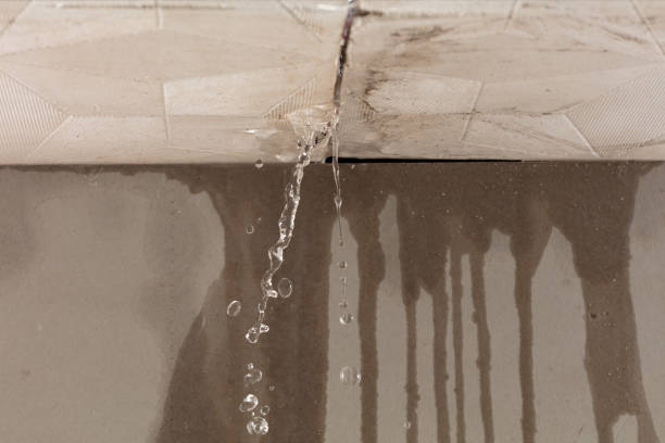 Professional Structural Drying technician working in Alvada, OH